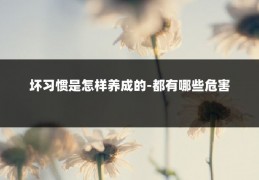 坏习惯是怎样养成的-都有哪些危害