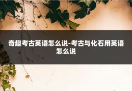 奇趣考古英语怎么说-考古与化石用英语怎么说