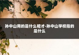 孙中山用的是什么棺才-孙中山学校指的是什么