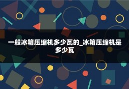 一般冰箱压缩机多少瓦的_冰箱压缩机是多少瓦