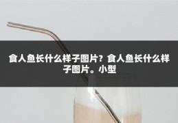 食人鱼长什么样子图片？食人鱼长什么样子图片。小型