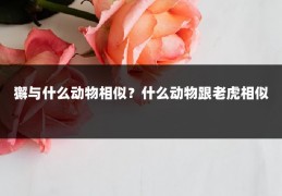 獬与什么动物相似？什么动物跟老虎相似