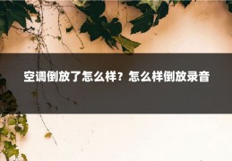 空调倒放了怎么样？怎么样倒放录音