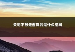 关羽不放走曹操会是什么结局