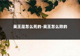 吴王是怎么死的-吴王怎么败的