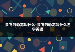 会飞的恐龙叫什么-会飞的恐龙叫什么名字英语