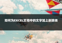 如何为EXCEL文档中的文字加上删除线