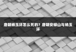 唐朝杨玉环怎么死的？唐朝安禄山与杨玉环