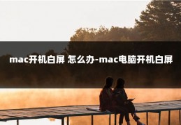 mac开机白屏 怎么办-mac电脑开机白屏
