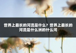 世界上最长的河流是什么？世界上最长的河流是什么洲的什么河