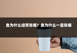 鱼为什么经常张嘴？鱼为什么一直张嘴