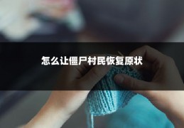 怎么让僵尸村民恢复原状