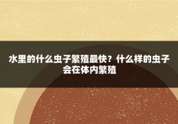 水里的什么虫子繁殖最快？什么样的虫子会在体内繁殖