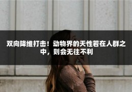 双向降维打击！动物界的天性若在人群之中，则会无往不利