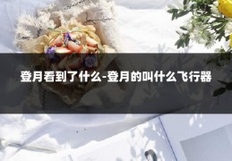 登月看到了什么-登月的叫什么飞行器