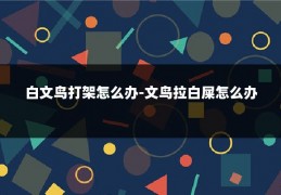 白文鸟打架怎么办-文鸟拉白屎怎么办