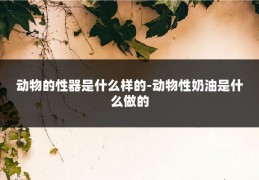 动物的性器是什么样的-动物性奶油是什么做的