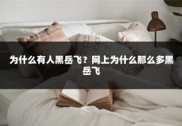 为什么有人黑岳飞？网上为什么那么多黑岳飞