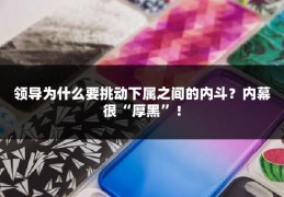 领导为什么要挑动下属之间的内斗？内幕很“厚黑”！