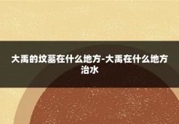 大禹的坟墓在什么地方-大禹在什么地方治水