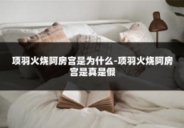 项羽火烧阿房宫是为什么-项羽火烧阿房宫是真是假