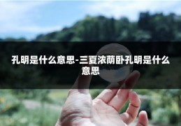 孔明是什么意思-三夏浓荫卧孔明是什么意思