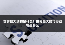 世界最大动物是什么？世界最大的飞行动物是什么