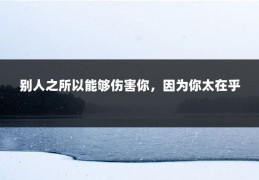 别人之所以能够伤害你，因为你太在乎