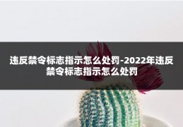 违反禁令标志指示怎么处罚-2022年违反禁令标志指示怎么处罚