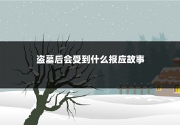 盗墓后会受到什么报应故事