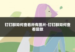 钉钉群如何查看所有图片-钉钉群如何查看回放