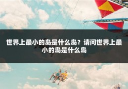 世界上最小的岛是什么岛？请问世界上最小的岛是什么岛