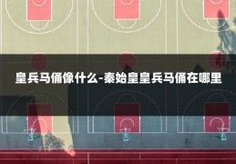 皇兵马俑像什么-秦始皇皇兵马俑在哪里