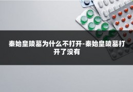 秦始皇陵墓为什么不打开-秦始皇陵墓打开了没有