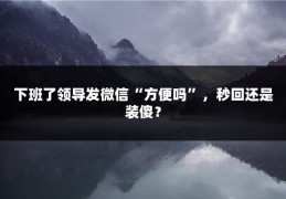 下班了领导发微信“方便吗”，秒回还是装傻？