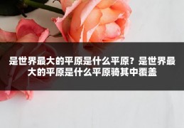 是世界最大的平原是什么平原？是世界最大的平原是什么平原骑其中覆盖