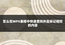 怎么在WPS表格中快速查找并且标记相同的内容