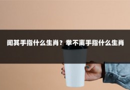 闻其手指什么生肖？拳不离手指什么生肖