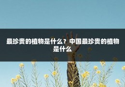 最珍贵的植物是什么？中国最珍贵的植物是什么