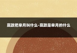 赢政把芈月叫什么-赢政是芈月的什么