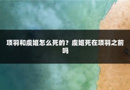 项羽和虞姬怎么死的？虞姬死在项羽之前吗