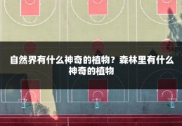 自然界有什么神奇的植物？森林里有什么神奇的植物