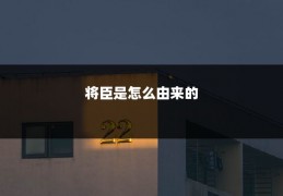 将臣是怎么由来的