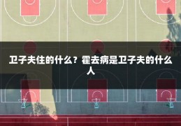 卫子夫住的什么？霍去病是卫子夫的什么人