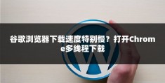 谷歌浏览器下载速度特别慢？打开Chrome多线程下载