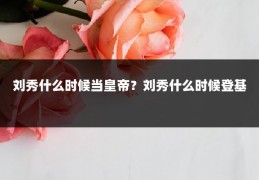 刘秀什么时候当皇帝？刘秀什么时候登基