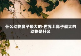 什么动物鼻子最大的-世界上鼻子最大的动物是什么