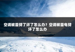 空调被雷劈了坏了怎么办？空调被雷电劈坏了怎么办