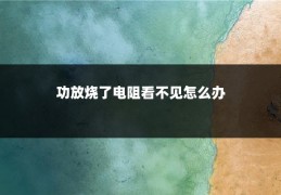 功放烧了电阻看不见怎么办