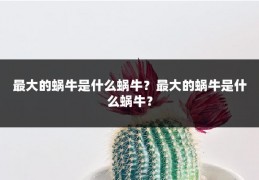 最大的蜗牛是什么蜗牛？最大的蜗牛是什么蜗牛？